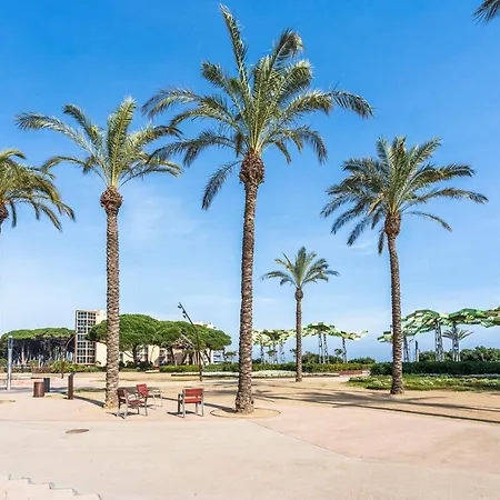 Alea - Viking La Pineda